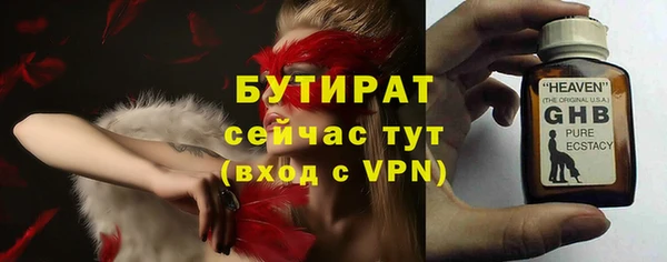 сатива Волоколамск
