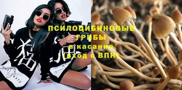 сатива Волоколамск