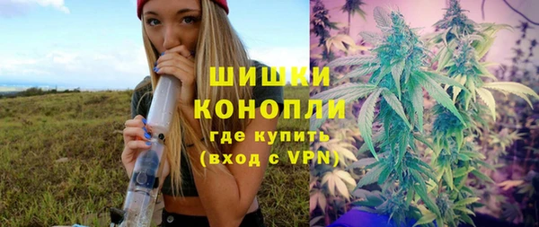 трава Коряжма