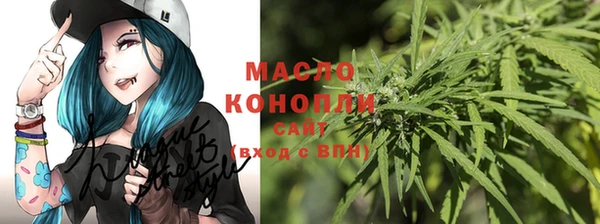 тгк Володарск
