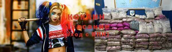 сатива Волоколамск