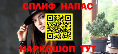 спайс Обь