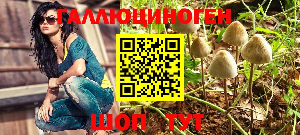Псилоцибиновые грибы GOLDEN TEACHER Ноябрьск